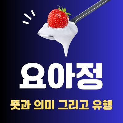 썸네일_요아정 뜻