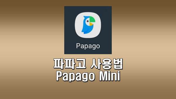파파고 사용법 Papago Mini