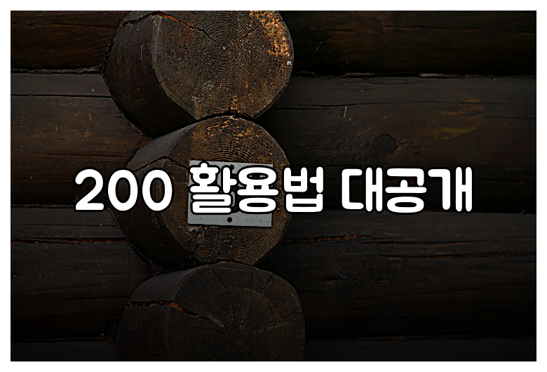 200 활용법 대공개