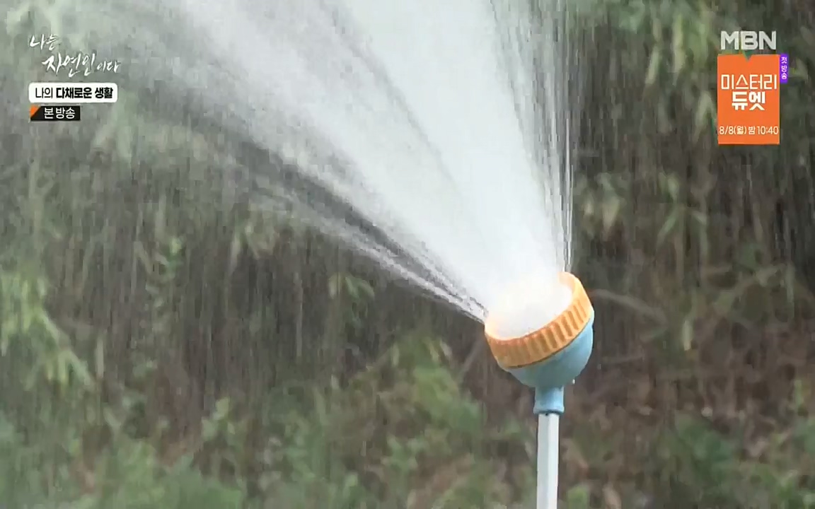 나는 자연인이다.E513.220804p-NEXT.mp4_20220804_202014.243.jpg