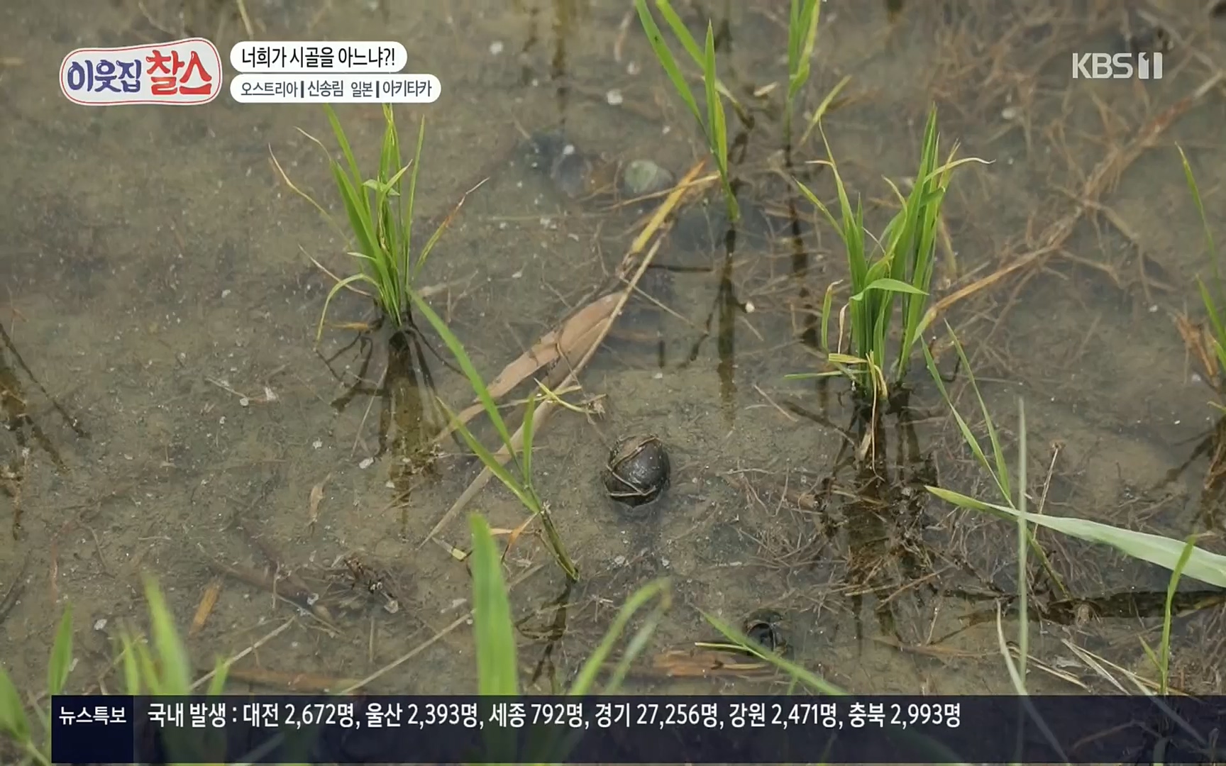 이웃집 찰스.E348.220726p.H264-F1RST.mp4_20220727_211724.833.jpg