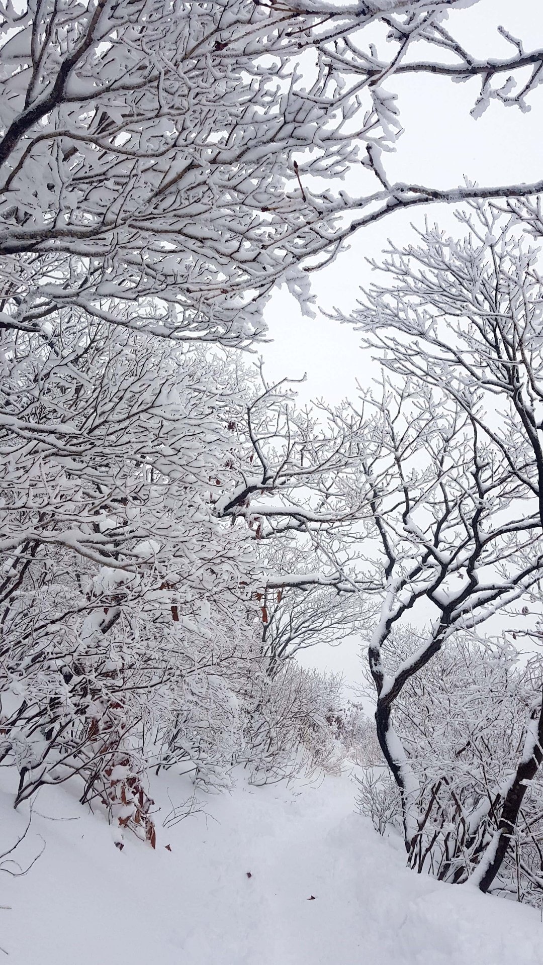 울산 가지산 설경