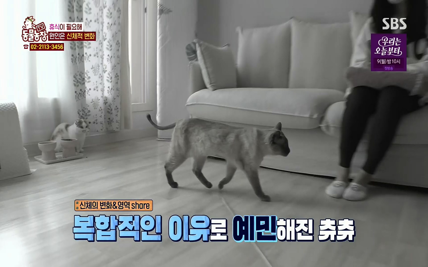 TV 동물농장.E1067.220501p.H264-F1RST.mp4_20220501_185011.886.jpg