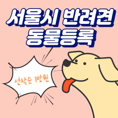  서울 반려견 동물등록 선착순 1만원