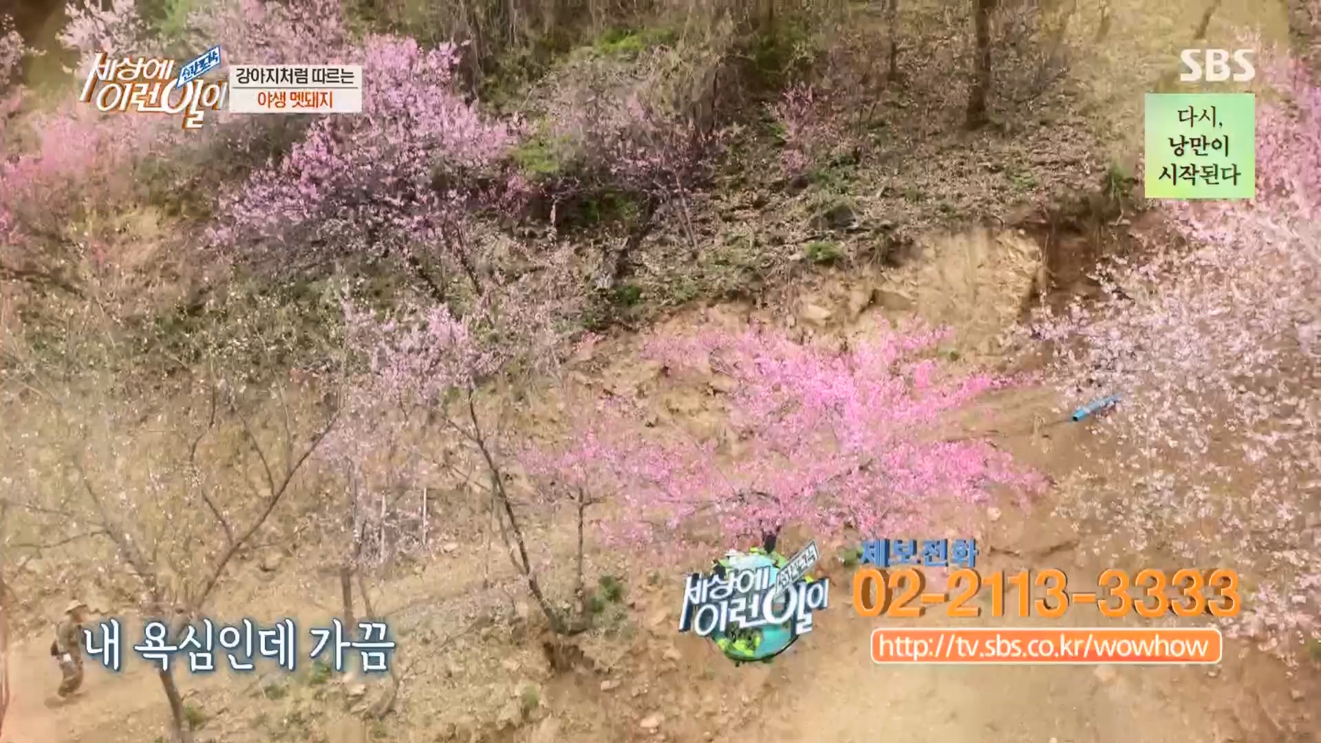 순간포착 세상에 이런일이.E1227.230425p.H264-F1RST.mp4_20230426_194345.069.jpg