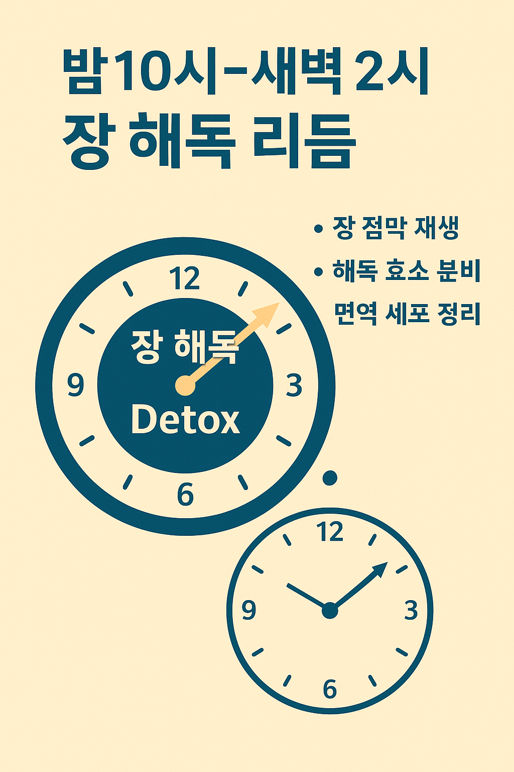 해독 타이밍 시계형 인포그래픽 이미지