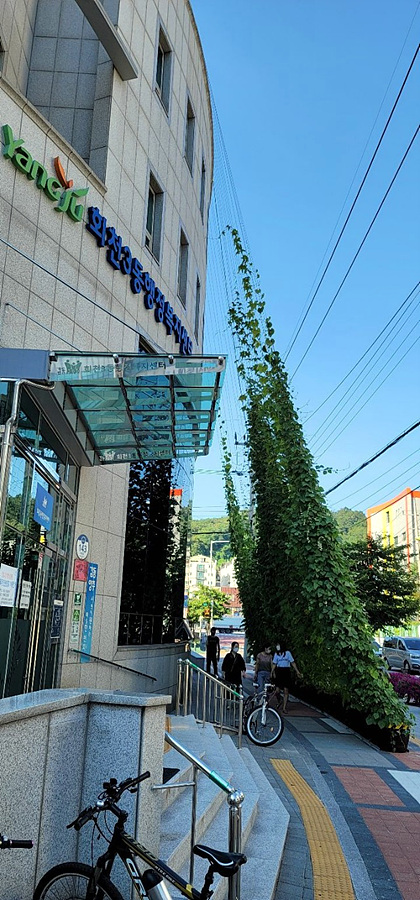 kbs1tv 다큐온 KBS1TV // 회천3동 생태그늘막 17