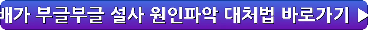 배가 부글부글 설사 원인파악 대처법_11