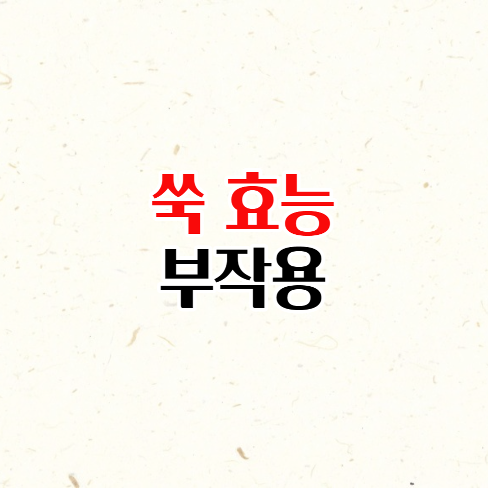  쑥 효능 부작용 자세히 알아봅시다