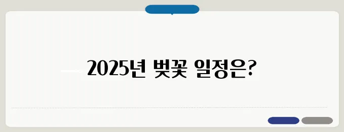 2025 일본 벚꽃축제 일정! 도쿄·오사카·후쿠오카 정리