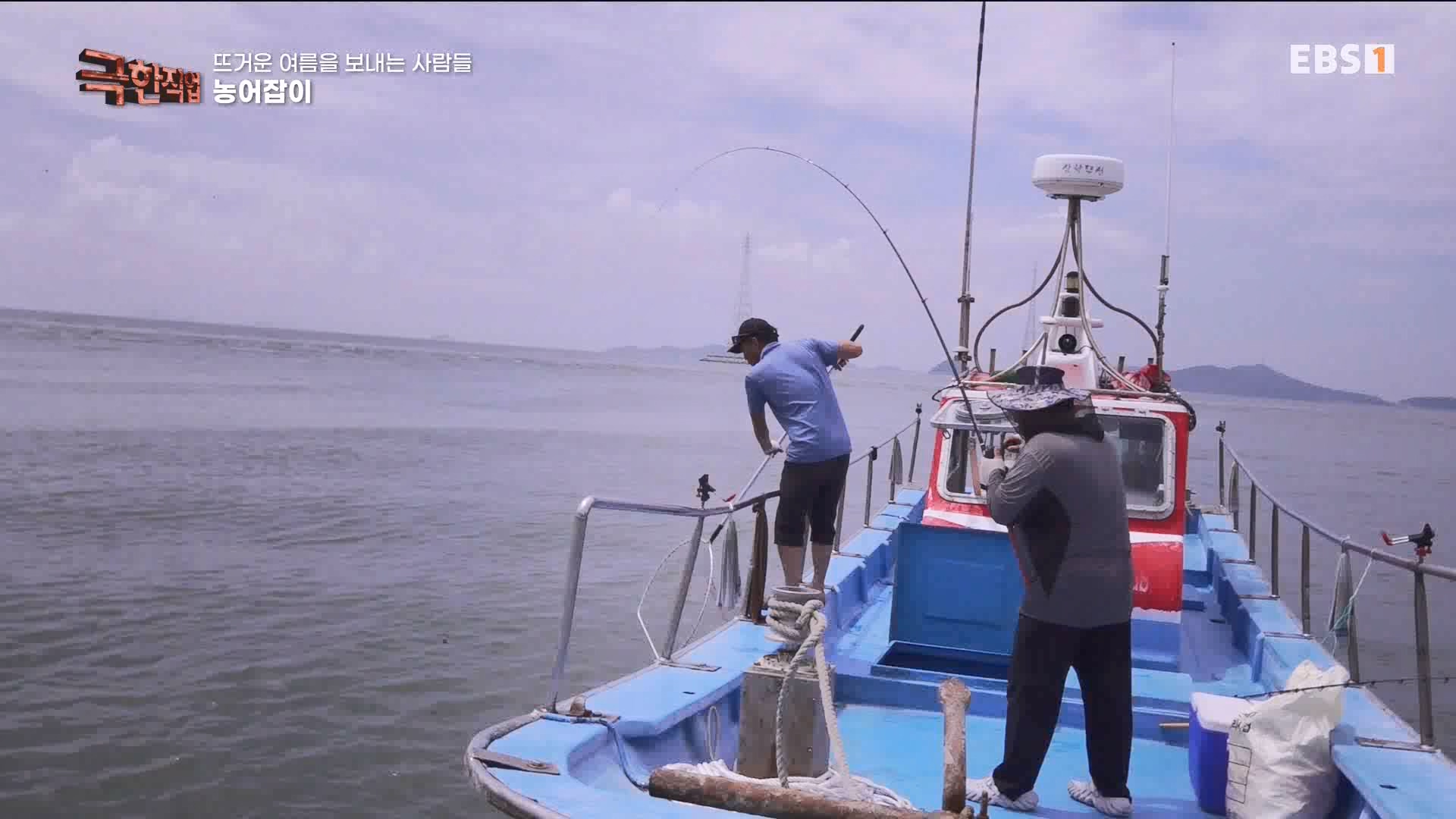 [극한 직업] 삼베 제작과 농어잡이 230812p.mp4_20230814_204009.911.jpg