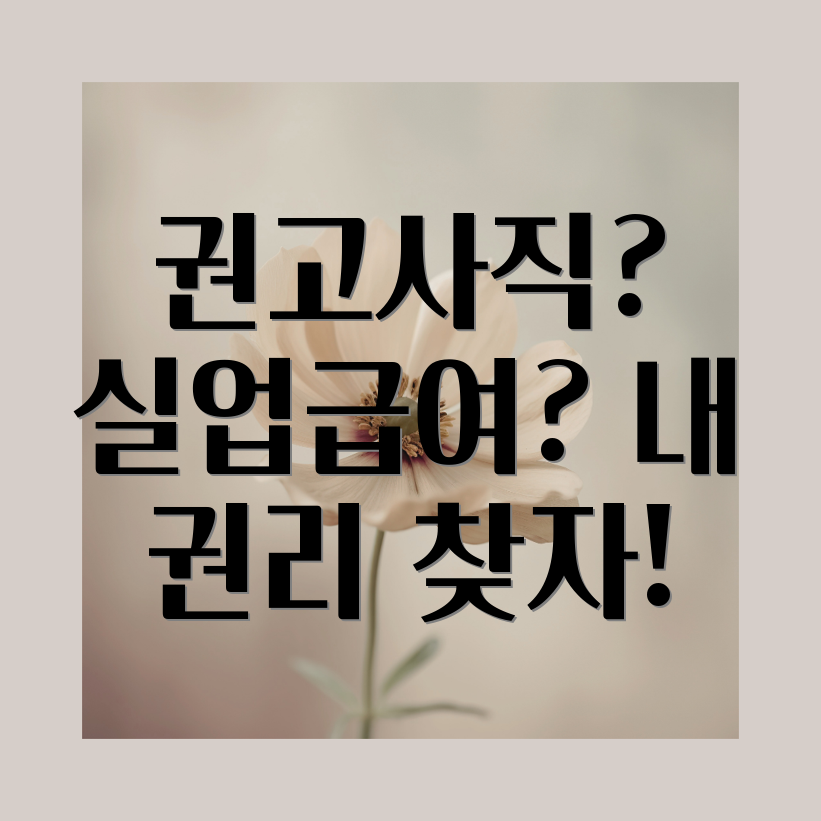 권고사직 실업급여