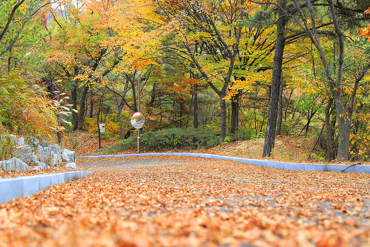 아산 영인산 자연휴양림