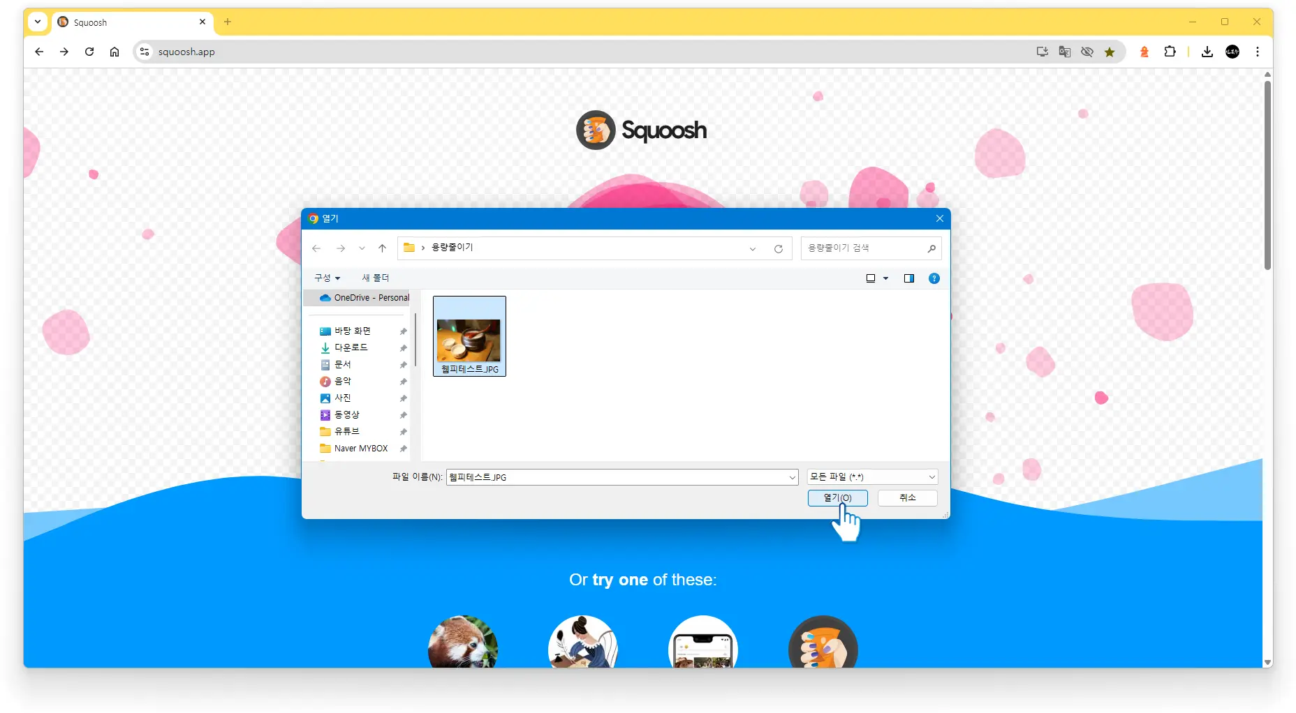 스쿠시(Squoosh)