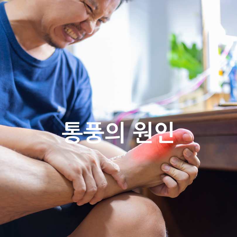 통풍과단백질보충제관계