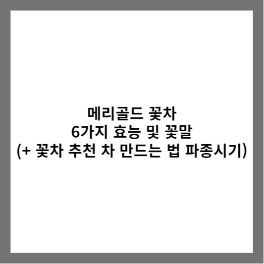 메리골드 꽃차 6가지 효능 및 꽃말 (+ 꽃차 추천 차 만드는 법 파종시기)