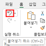 실행 취소 명령