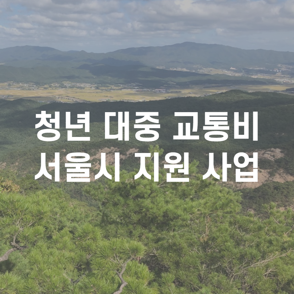  서울시 청년 대중 교통비 2차 지원 사업 알아보기