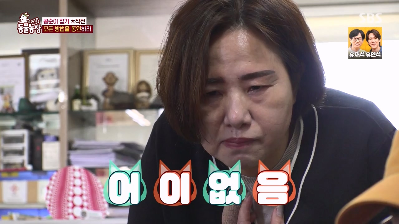TV 동물농장.E1168.240422p-NEXT.mp4_20240421_170945.436.jpg
