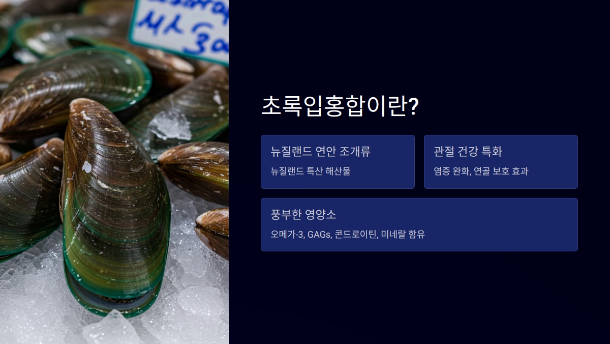 초록입홍합 하루 권장량