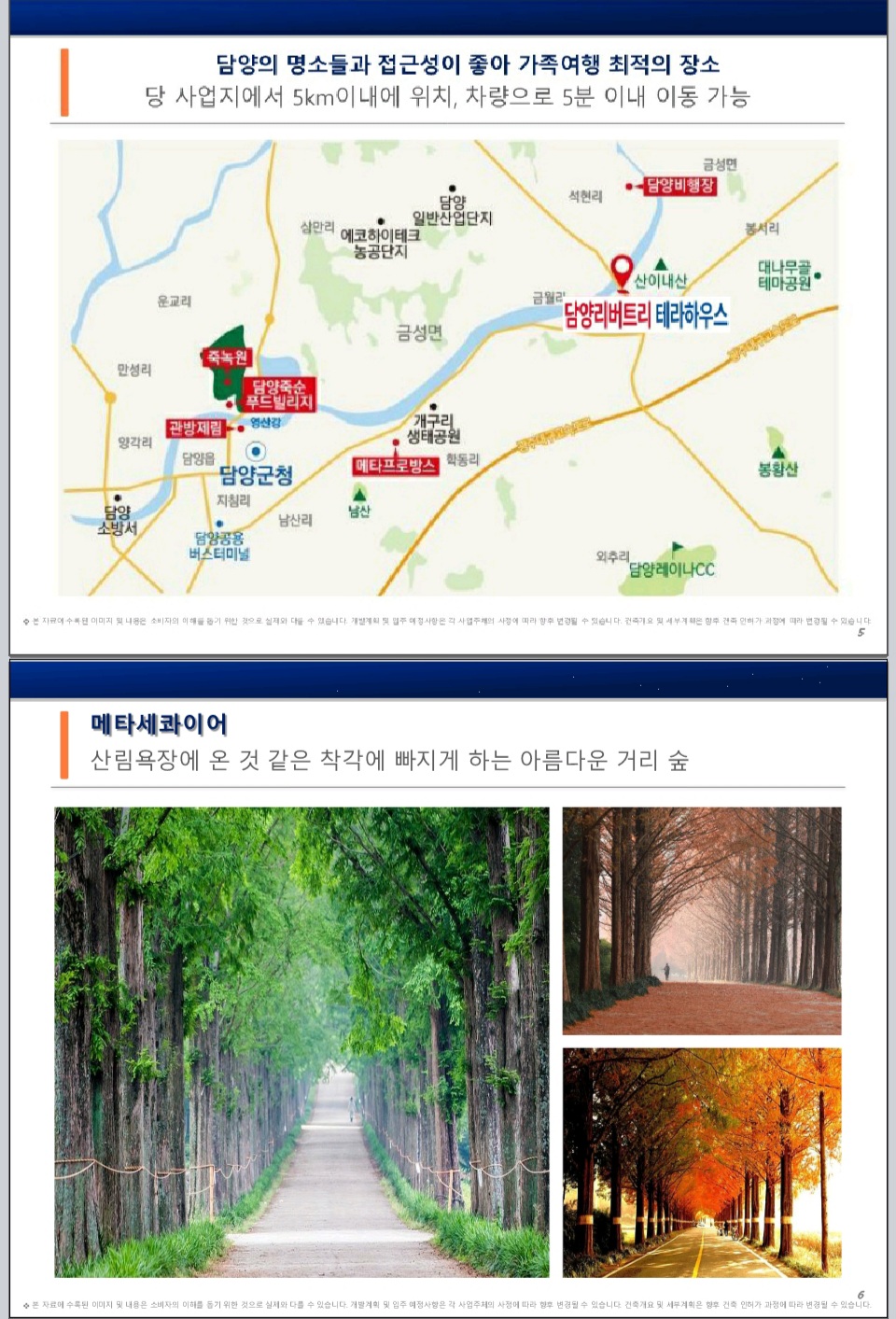 테라하우스 이미지