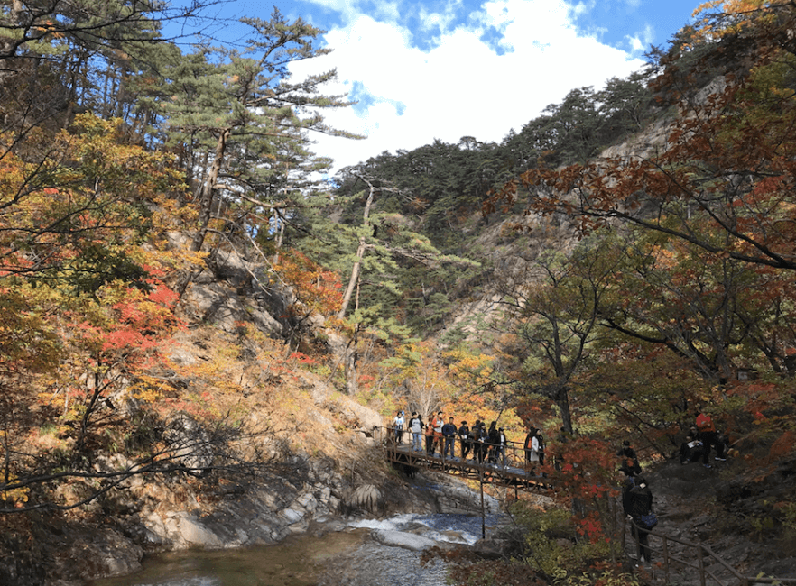 2024 설악산 단풍축제: 가을의 아름다움을 만끽하는 방법 🍂