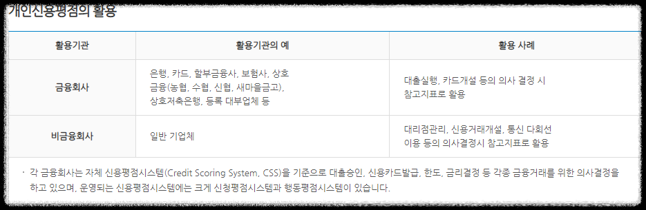 신용평점-활용