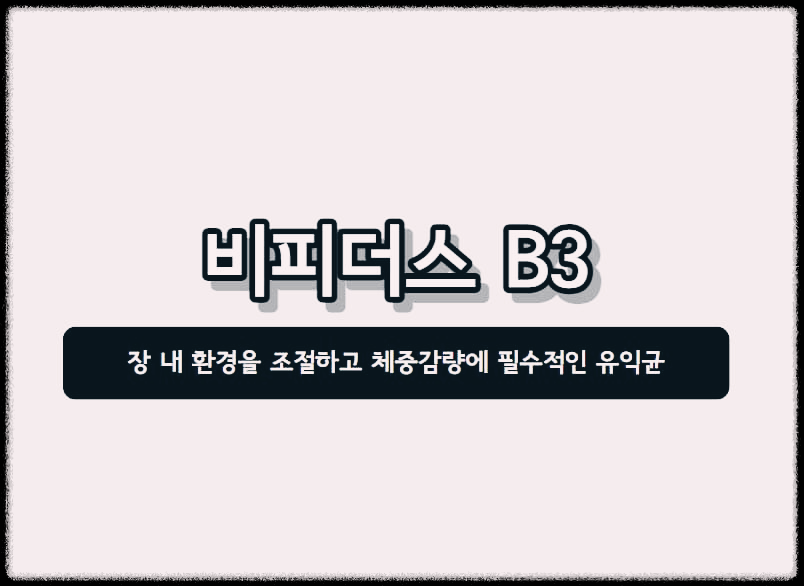  비피더스 B3 : 장 내 환경을 조절하고 체중감량에 필수적인 유익균