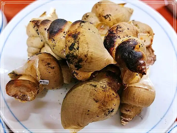 TBJ 생방송투데이 포항 구룡포시장 전국 택배 주문 백고둥구이 맛집