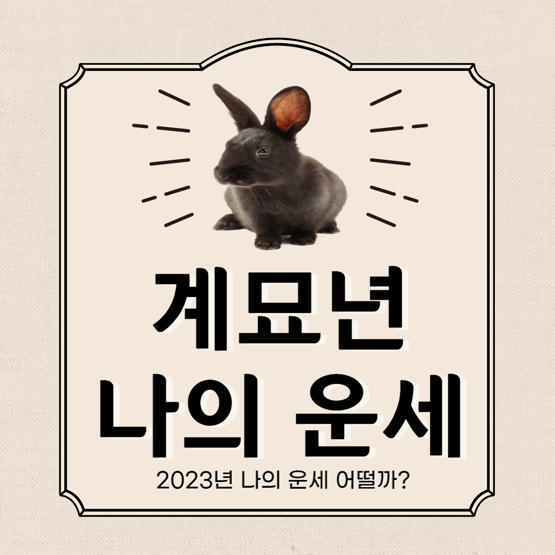 2023년 쥐띠 운세