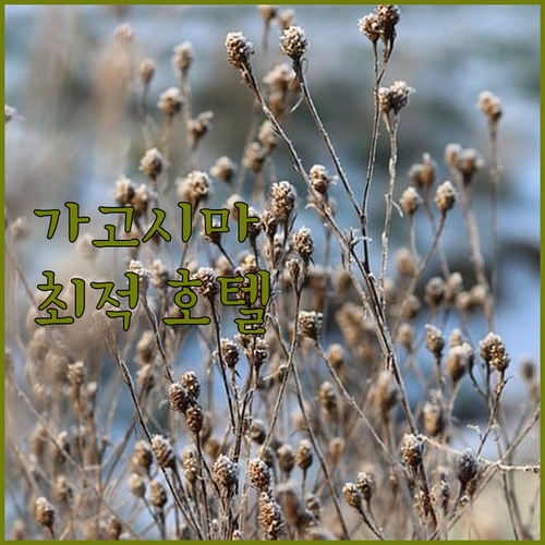 가고시마 호텔 추천 교통, 쇼핑, 관