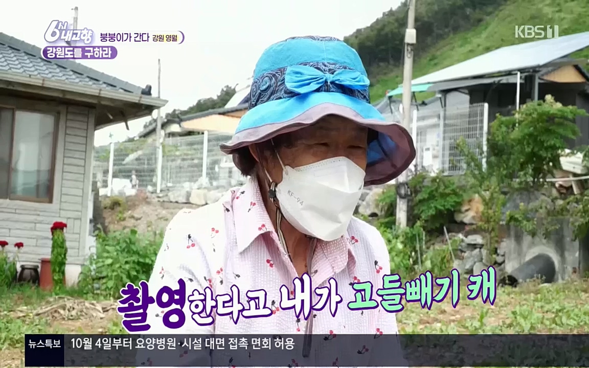 6시 내고향.E7630.221004p.H264-F1RST.mp4_20221004_213304.148.jpg