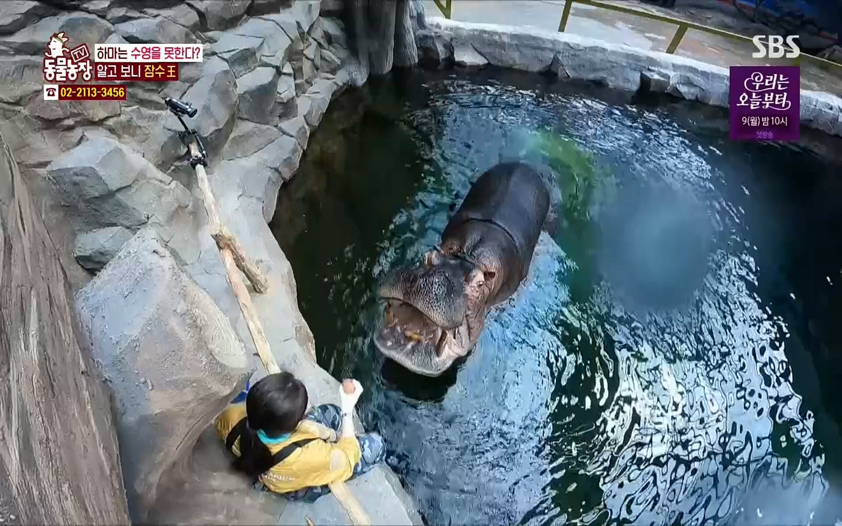 TV 동물농장.E1067.220501p.H264-F1RST.mp4_20220501_184954.666.jpg