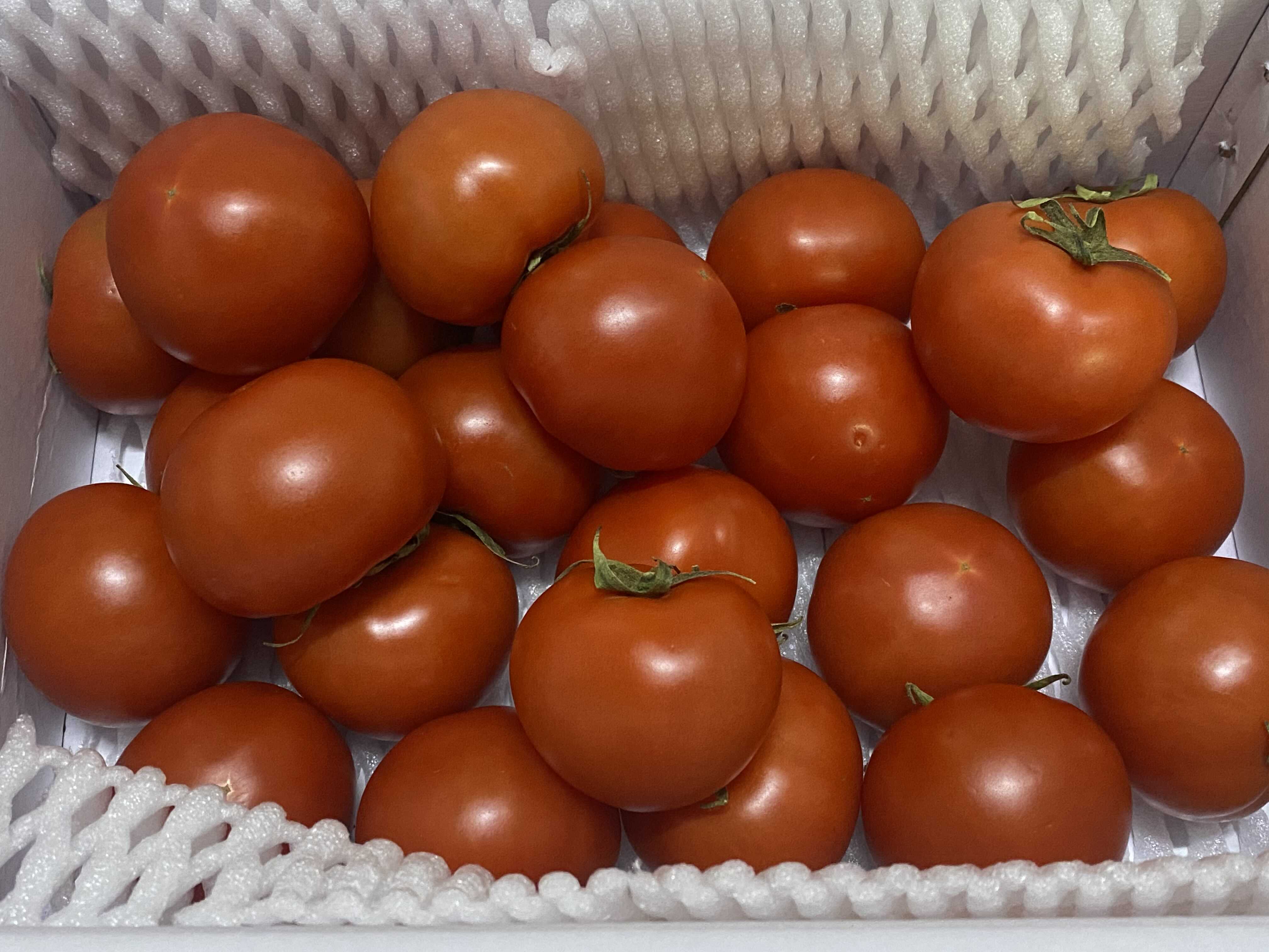 맛남의 광장 토마토