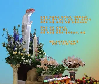 성모의 밤 의미 기도하는 방법_13