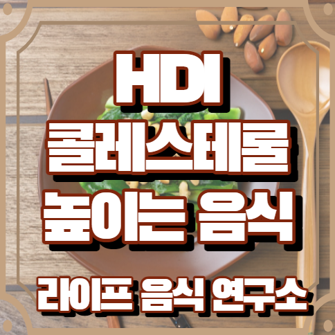 hdl콜레스테롤 높이는 음식