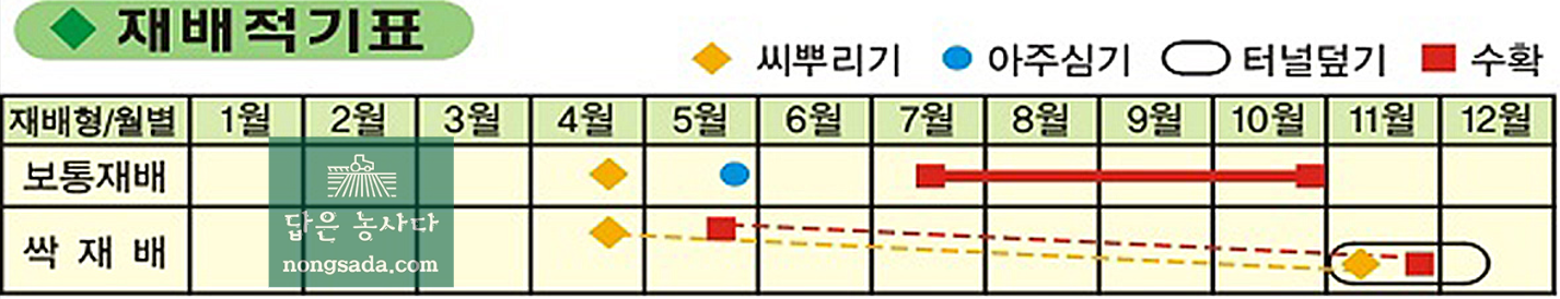 자소 재배 시기 및 작형