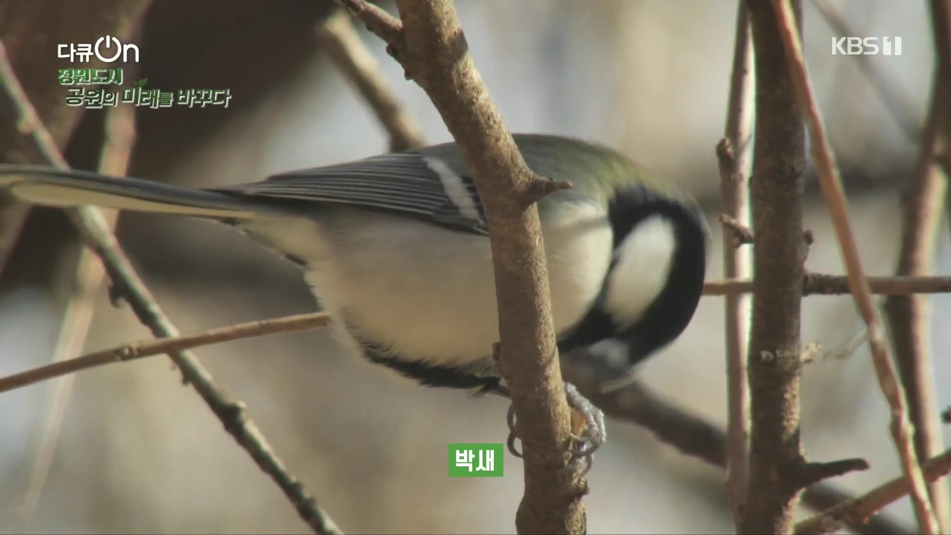 다큐 On.E230.231209p.H264-F1RST.mp4_20231211_194026.620.jpg