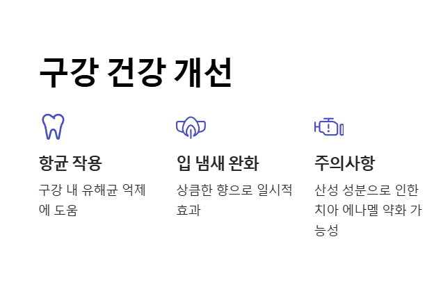 레몬껍질 효능&amp;#44; 구강 건강 개선