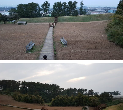  삼별초 항쟁