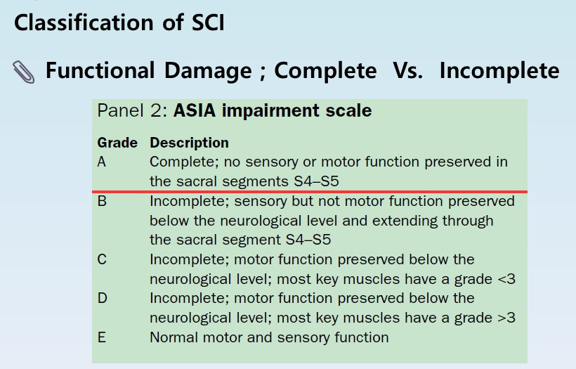 척수손상 평가도구 American Spinal Injury Association&#44; ASIA scale