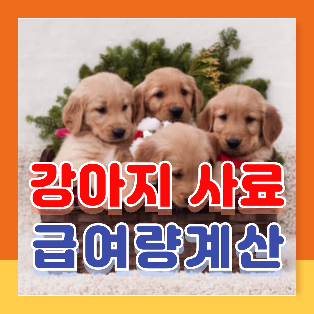 강아지 사료 급여량 계산 가이드