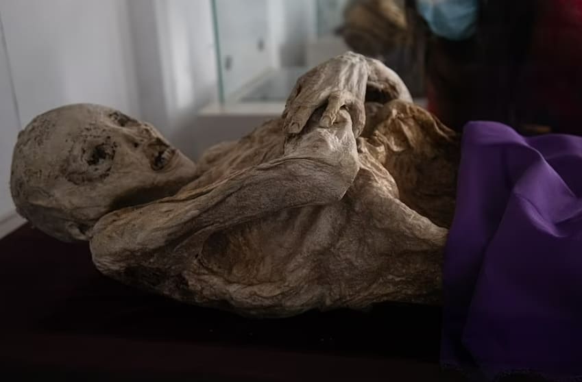 세계에서 가장 추운 거주지 콜롬비아 산 베르나르도의 자연 미이라 VIDEO: World's Coldest Inhabited Place & The San Bernardo Mummies