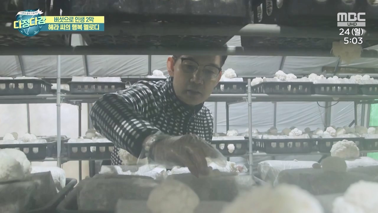 MBC 네트워크 특선 - 다문화 활력 프로젝트 다정다감.E1669.240325p-NEXT.mp4_20240328_202436.202.jpg