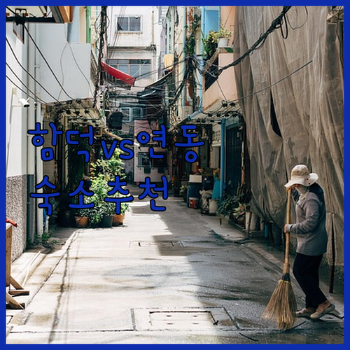 함덕 vs 연동! 제주 여행 스타일별