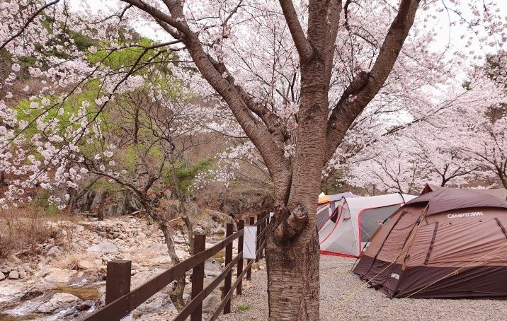 연인들에게 추천하는 캠핑장