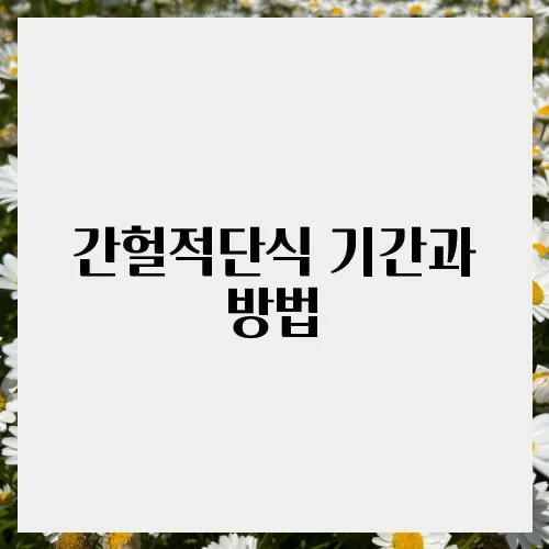 간헐적단식 기간과 방법, 요요 방지 팁
