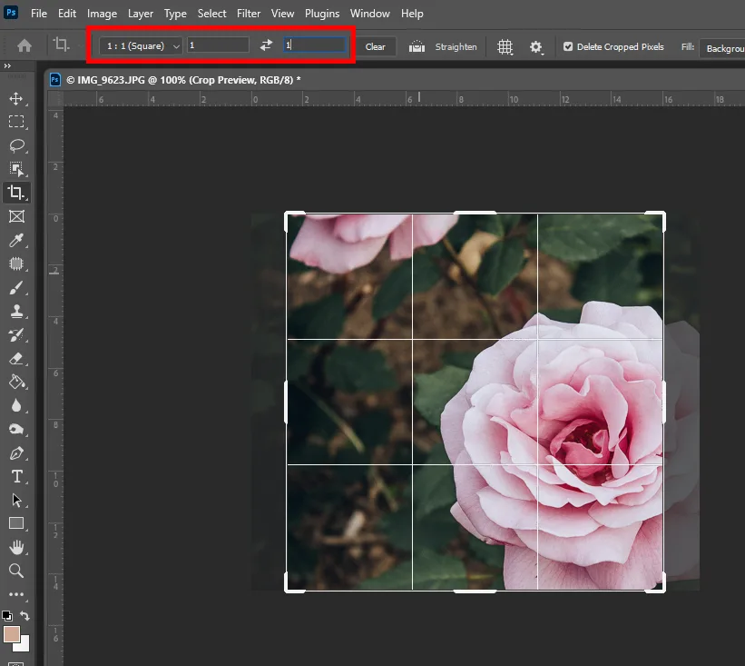 포토샵 크롭툴로 비율을 입력해서 사진을 자르는 모습