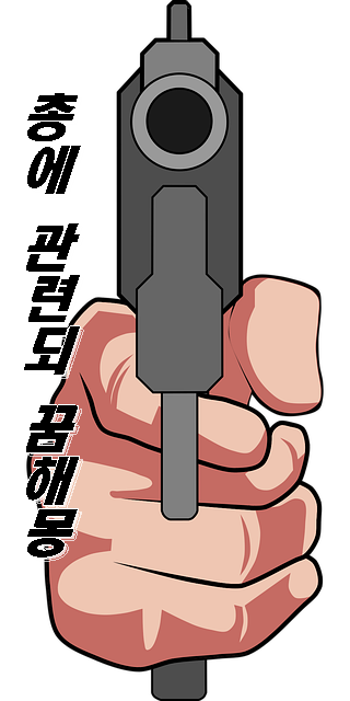  총에 맞는 꿈의 의미는?  총을 맞아도 죽지 않는다, 살아난다 등 꿈해몽