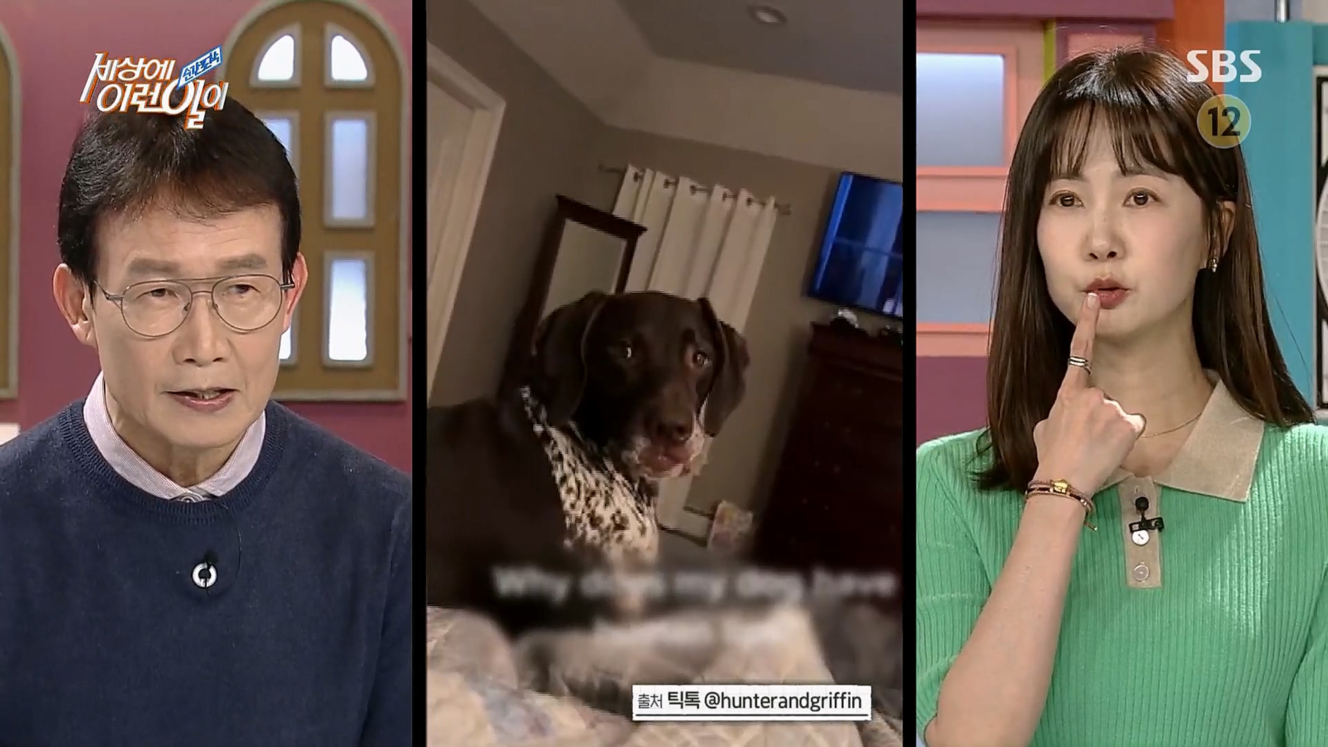 순간포착 세상에 이런일이.E1221.230314p.H264-F1RST.mp4_20230315_141003.632.jpg